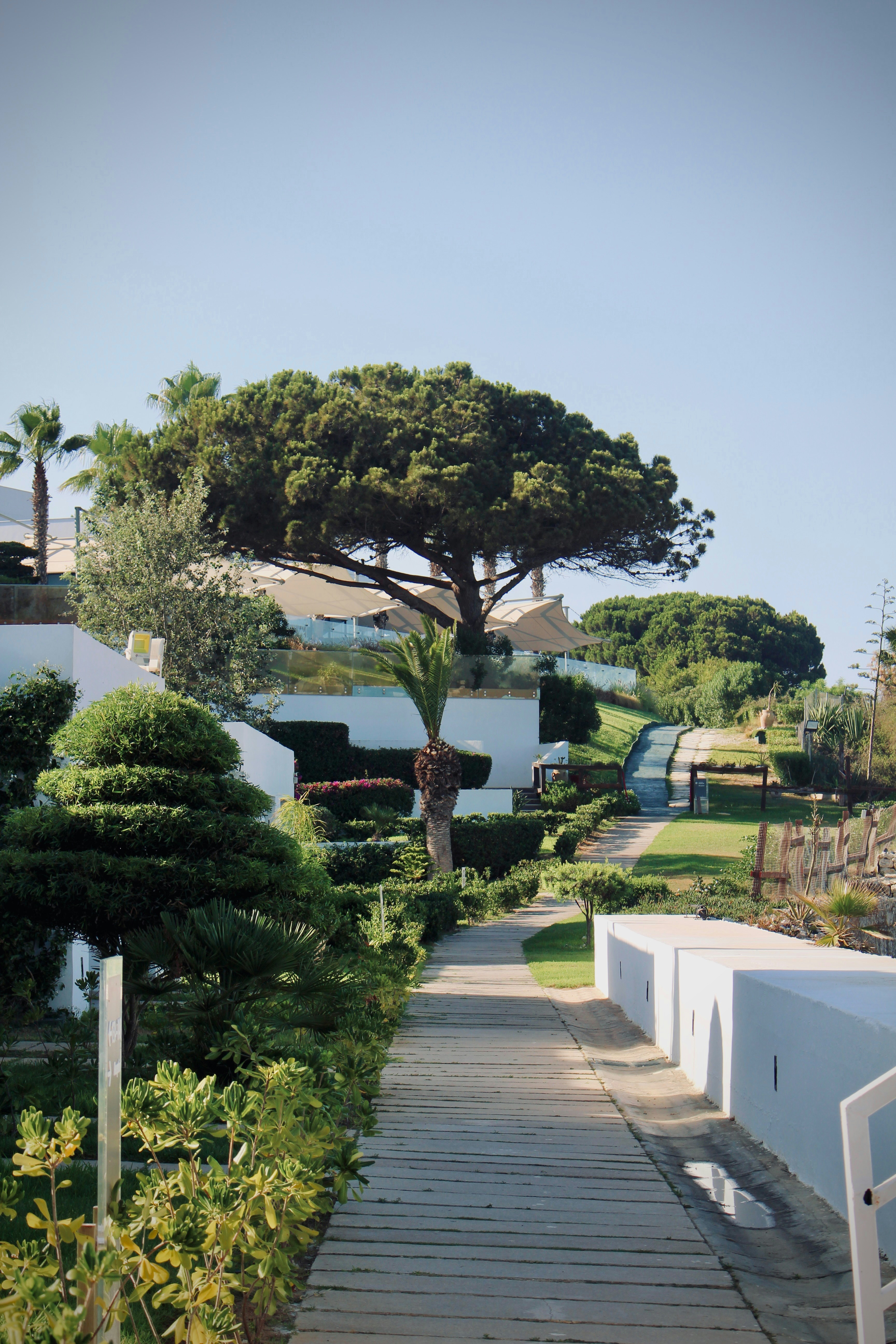 Comment Concevoir un Jardin Méditerranéen Élégant sur la Côte d'Azur